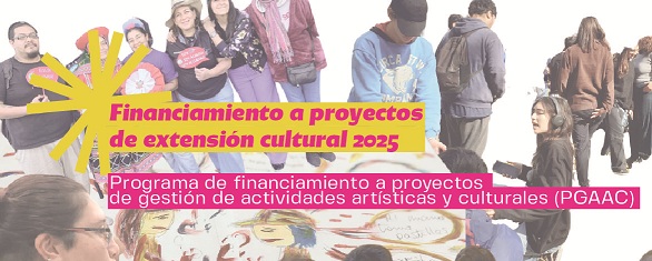 2025 proyectos extension cultural