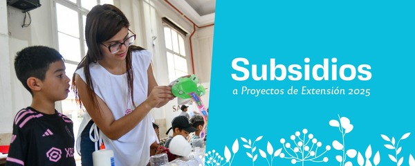 subsidios proyectos extension 2025